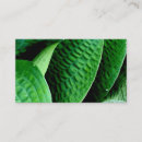 Search for hosta office school Leaves