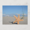 Search for sonne postcards Natur