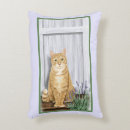 Search for ginger cat cushions Orange tabby cat