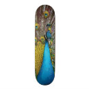 Search for peacock skateboards Teal