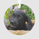 Search for black lab christmas decor Funny