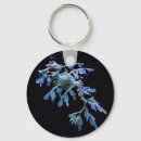 Search for leafy key rings Seahorse