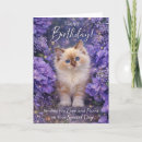 Search for kitten birthday cards Pet