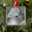 Search for reserves christmas tree decorations Cute baby animal