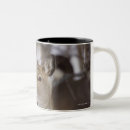 Search for hokkaido mugs Japan