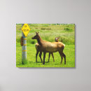 Search for cross canvas prints Photography