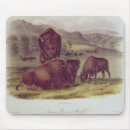 Search for audubon mousepads James