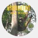 Search for peek stickers Wildlife