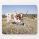 Search for breeding electronics Texas
