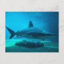 Search for durban postcards Gallo images