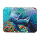 Search for mariner magnets Coastal