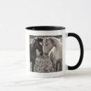 Search for love horses mugs Cute