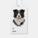Search for border collie cartoon Funny