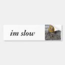 Search for snails bumper stickers Cute