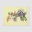 Search for convolvulus Illustration