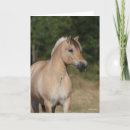 Search for bob cards Horse