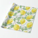 Search for citrus fruit wrapping paper Tree