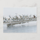Search for instrument postcards Flute
