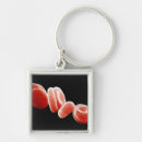 Search for colour effect key rings Electron micrography