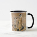 Search for alertness mugs Colour image
