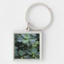 Search for oceania key rings Pacific