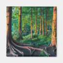 Search for forests magnets Nature