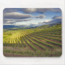 Search for vineyard mousepads Napa valley