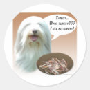 Search for bearded collie stickers Beardie
