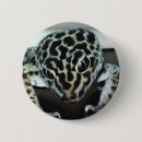 Search for gecko badges Lizard