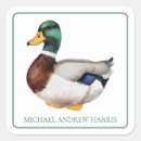 Search for duck stickers Green
