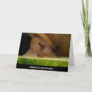 Search for gentleness cards Patience