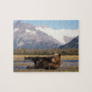Search for grizzly bear puzzles Ak