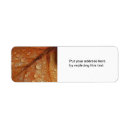 Search for rain return address labels Fall