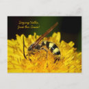 Search for pollinating postcards Nature photography