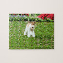 Search for fox terrier puzzles Puppy