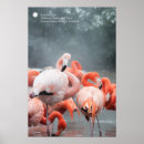 Search for smithsonian posters National zoo