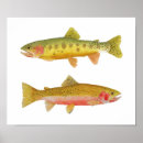 Search for trout posters Salmon