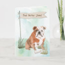 Search for english bulldog cards Pets