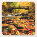 Search for wooden coasters Photography