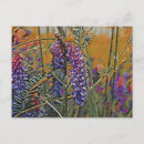 Search for warm horizontal postcards Floral