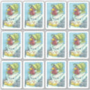 Search for cute eggs Country