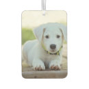 Search for pet photo car air fresheners Dog