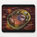 Search for cell mousepads Human