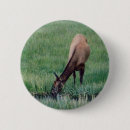 Search for elks badges Wild