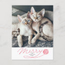 Search for kitty christmas cards Cute