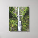 Search for benson canvas prints Bridge