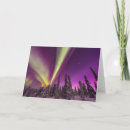 Search for aurora borealis northern lights cards Sky