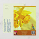 Search for easter bunny rabbit postcards Christian