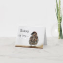 Search for sparrow cards Photography