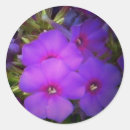 Search for hot pink and purple stickers Floral